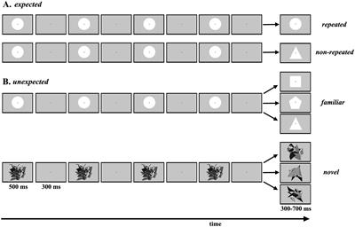 Perceived Duration: The Interplay of Top-Down Attention and Task-Relevant Information
